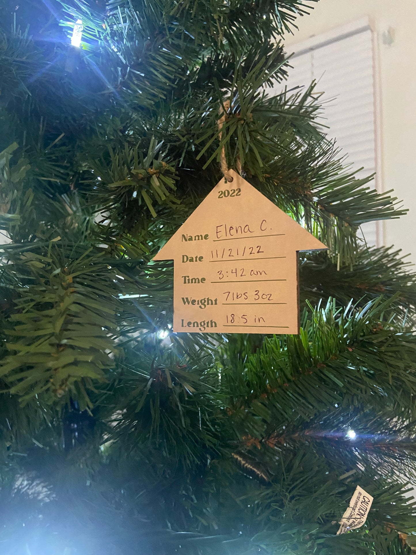 Born at Home Ornament PRE-ORDER