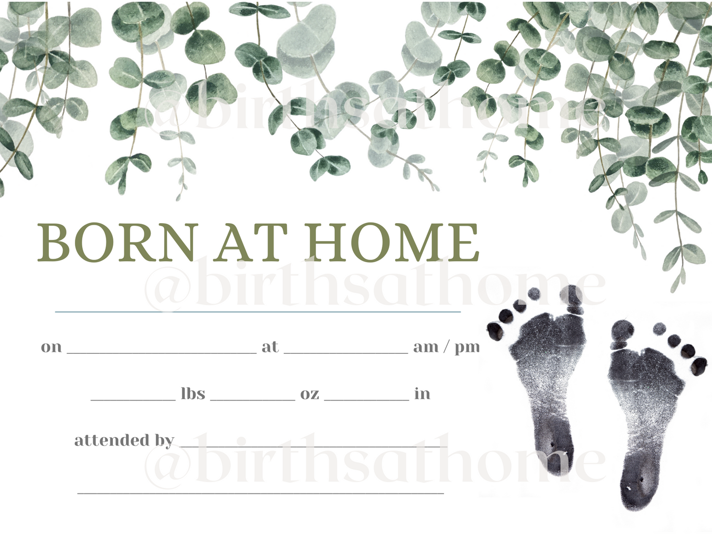 Home Birth Certificates