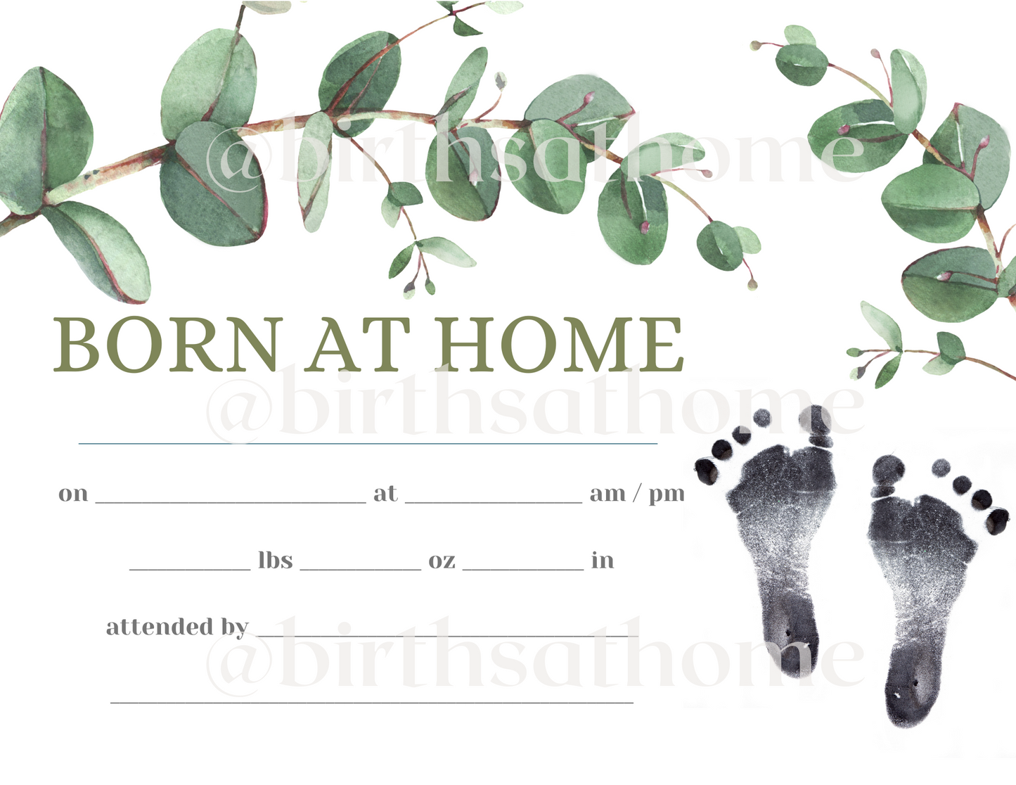 Home Birth Certificates